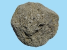 Karbon-Sandstein