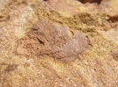 Keuper-Sandstein mit Tongallen 