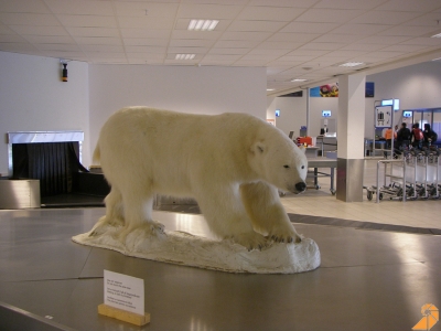 Eisbär im Flughafengebäude