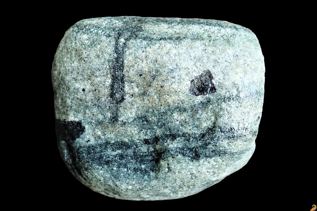 Rispebjerg-Sandstein mit Spurenfossil